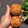 Taihang Cypress Burl Health Massage Hand Balls