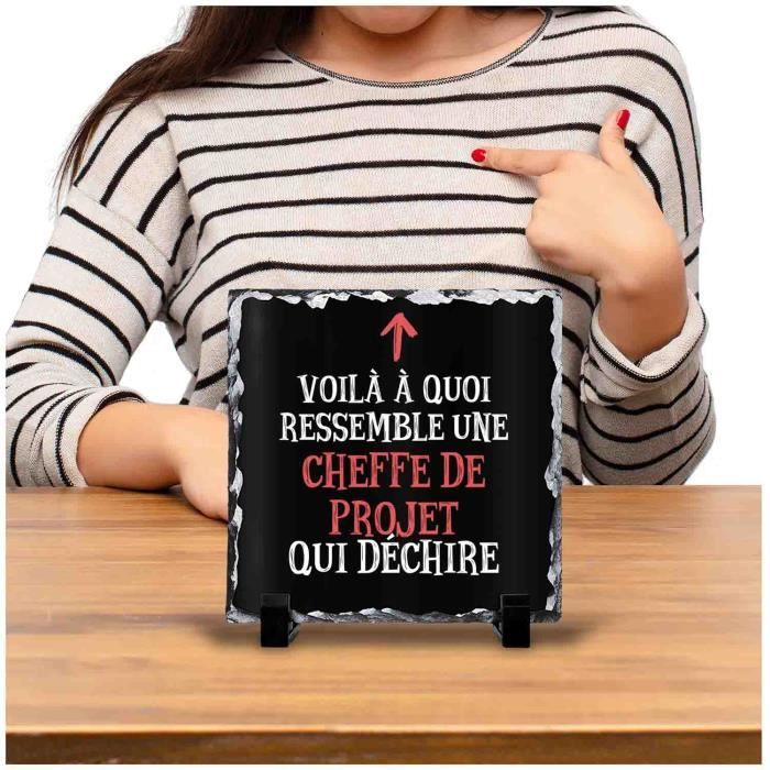 Cadre chef de projet qui déchire Femme | Idée Bureau Cadeau Travail Départ Retraite Collègue Anniversaire Noël