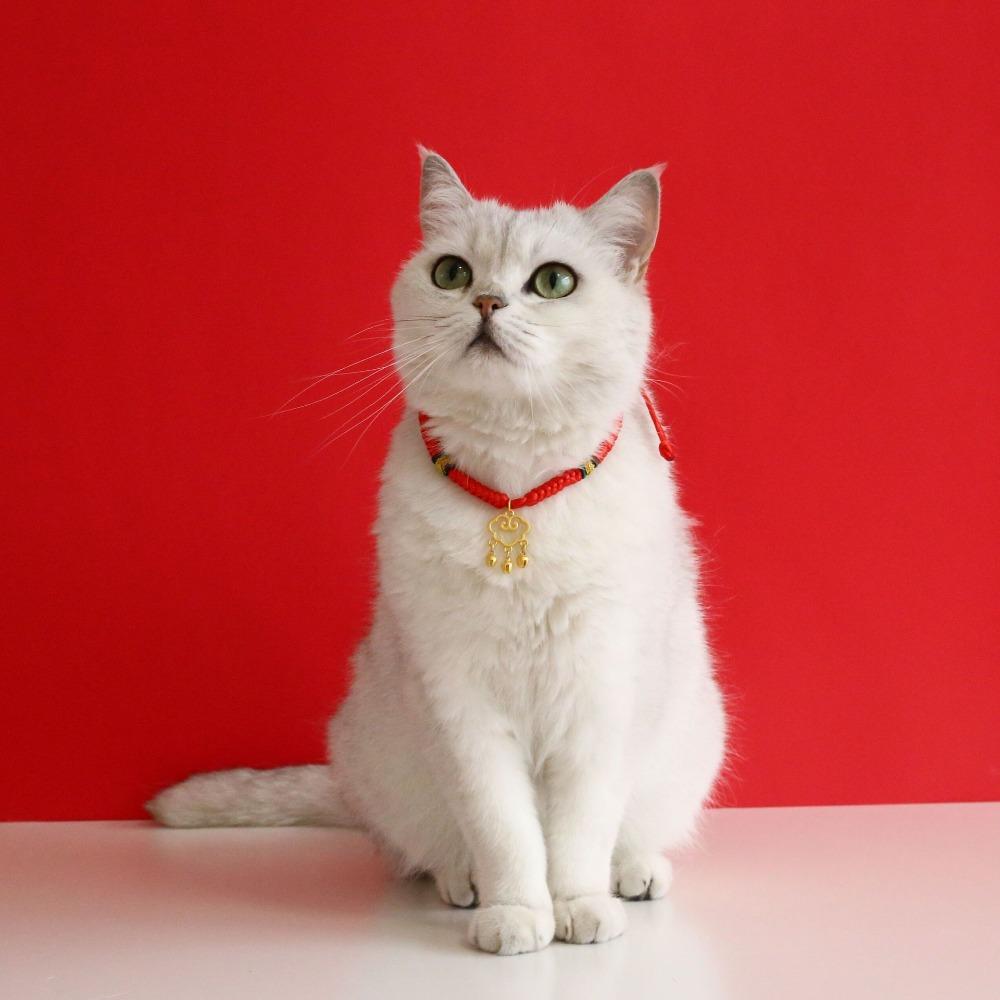 

Exquisite Spring Festival Collar Adjustable Cat Collars Small Dog Longevity Lock Party Style 3