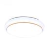 Meng Pao Modern LED Ceiling Lamp
