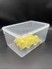 Insect Feeding Box Cherry Red Cockroach Dubia Cockroach Bread Worm Barley Worm Cricket Honey Worm
