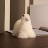 INJOI Plush Alpaca Toy, Fluffy and Cute, Handmade with Rare Natural Alpaca Fur, Perfect for Anniversaries and Special Occasions, Gift (15cm, White,