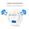 New Customizable Household Commercial Carbon Monoxide Alarm with CE Certification