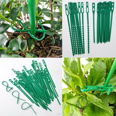 100pcs Green Fishbone Tie, Garden Climbing Vine Plant Fixing Buckle, Gardening Accessories Binding Wire Binding Strap