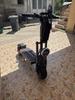 BOYUEDA S5 E-Scooter 6000W Motor 60V38AH Battery Bluetooth APP Connection Electric Scooter Smart NFC Function 11" Off-Road Tire