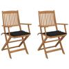 Day and Night - Day and Night Folding Garden Chairs 2 Units and Cushions Solid Acacia Wood