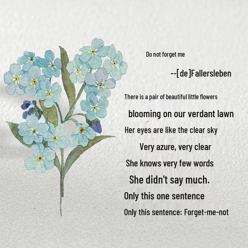 "Forget-me-not" Couple Rings - Stylish Women's Pair Rings, Perfect for Birthdays or Christmas Gifts for Boyfriend