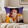 Singer AAlec BBenjamin Cushion Cover Pillowcase Antidustmite living Room Sofa Decor Cushion Room