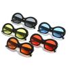 2023 Oval Puffer Sunglasses: European & American Style, Street Chic, Arc Design for Women