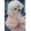 Winter Fleece Dog Sweater Cat Pullover Puppy Costume Comfortable Fashion Pet Warm Clothes Round Neck Clothes Chihuahua Yorkshire Bichon Vest