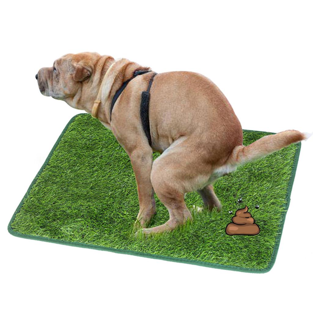 Artificial Dog Grass Pee Pad Realistic Water Proof Leakproof Washable Puppy Potty Training Turf for Indoor Outdoor M