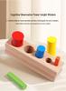 Montessori Five-Color Educational Cylinders for Early Child Development