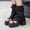 Fashion High Heels Boots for Women Chunky Designer Shoes Fashion Luxury Woman Ankle Boots 2025 New Pumps Goth Cool Botas Mujer Shoes