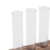 Glass Plant Propagation Station Plant Propagation Tubes Desktop Plant Terrarium With Wooden Stand Mini Test Tube Home Decor 6 Tubes