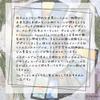 in a tin Sun and Moon Tarot in a Tin Tarot fortune telling instructions in Japanese with instructions Authentic tarot cards 78 cards Mini size [Packed