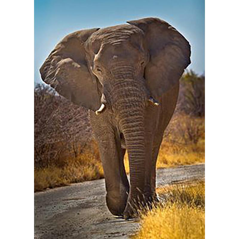 DIY 5D Diamant Malerei Tiere Elefant Stickerei Kreuzstich Kit voller Rundbohrer Mosaik Wand Kunst Harz Geschenk Home Decor