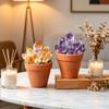 Natural Crystal Cluster Potted Plant Terracotta Pot Crystal Succulent Healing Crystal Home Decor Figurine
