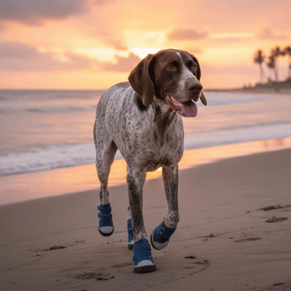 4pcs/set Adjustable Non-Slip Pet Shoes Breathable Wear-Resistant Dog Canvas Sneakers Rubber Soles Pet Board Shoes Pet Supplies