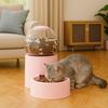 Large Capacity Automatic Pet Feeder Plastic Cat Feeder Bowl Dog Water Dispenser  Pet Supplies
