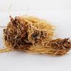 250g Organic Dried Manchurian Wildginger Herba Asari Xi Xin Chinese Herb