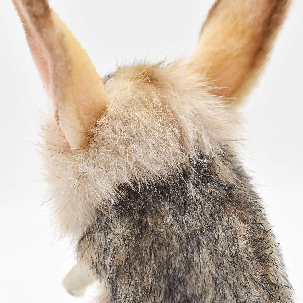 BH7497 HANSA Jerboa 19