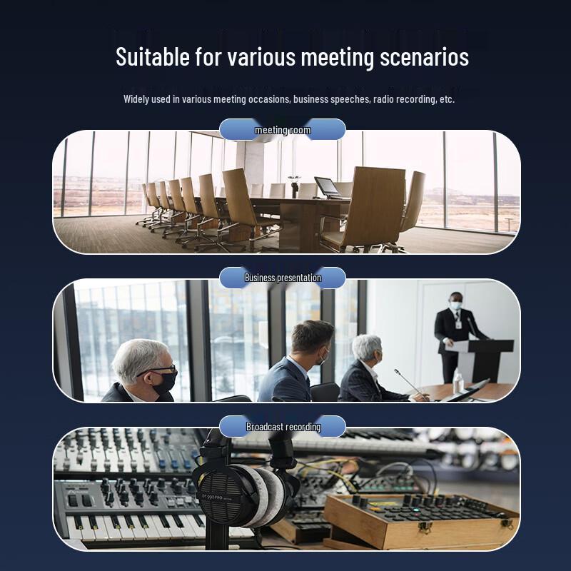 Runpu Professional Wireless Conference Microphone System (CN version)