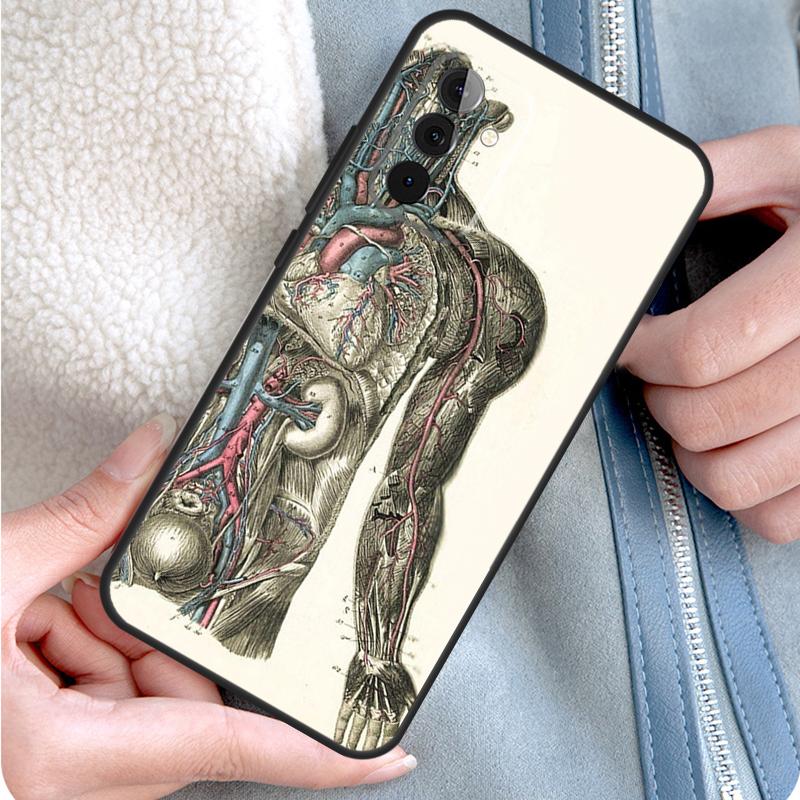 Medical Human Anatomy Phone Case For Samsung Galaxy A15 A25 A35 A55 A54 A34 A14 A13 A33 A53 A12 A32 A52 A71 A51