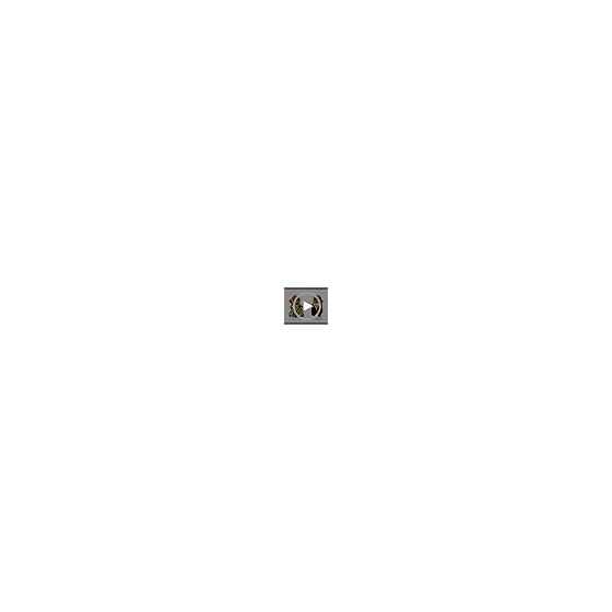 Epoch Sylvanian Families Doll [Otter Family] FS-32
