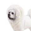 Animal Figurines for Educational Play and Cake Decoration