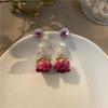 Elegant Dried Flower Pendant Earrings Rose Real Flower Earrings  Jewelry Accessories