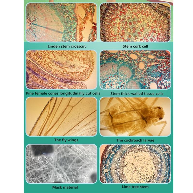 Mini Microscope 400x for Smartphone Camera Lighted Portable LED Lens Digital Microscope Camera Magnifier