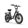 URLIFE-E20 20"x3" Elektrische Fatbike 250W Motor 48V 13AH Accu 80-100KM Actieradius Ideaal voor Woon-Werkverkeer & Avontuur
