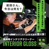 Pit One Interior Gloss Interior Cleaner