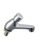 Chrome-Plated Time-Delay Basin Faucet