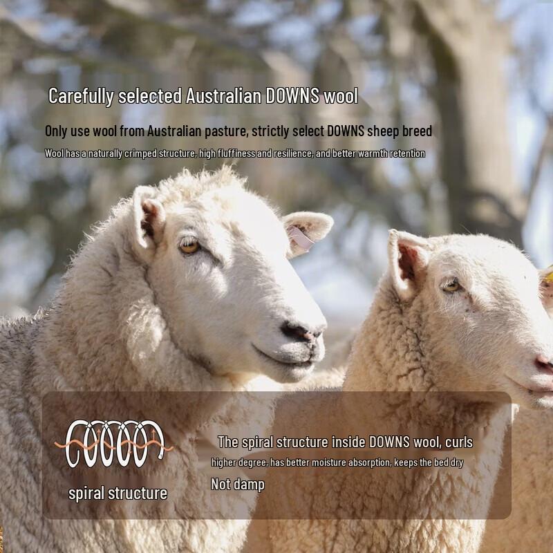 Mercury Home Textiles 100% Australian Wool Winter Quilt