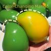 Color Changing Lemon Stress Ball Color-Changing Crunchy Squishy Fidget Ball  for Adults Kids