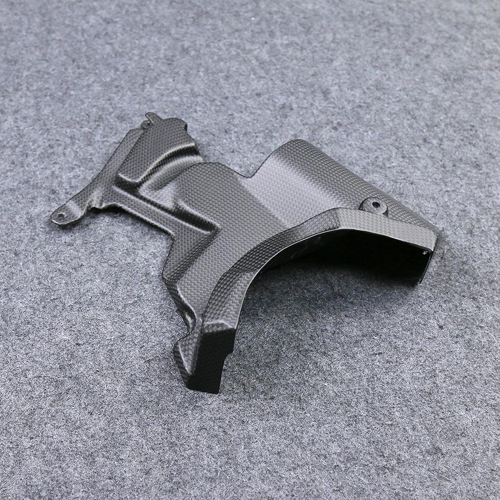 Ducati Streetfighter V2 Carbon Fiber Engine Cover
