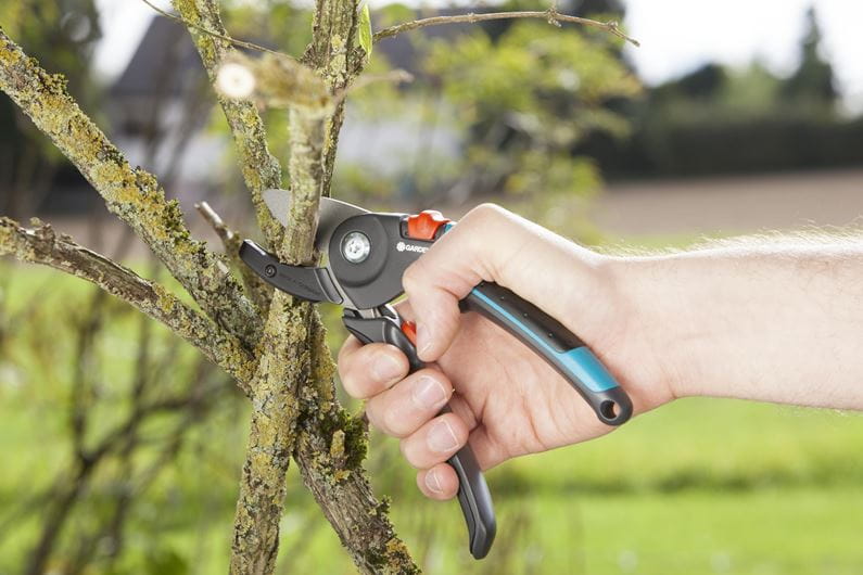 CLASSIC ANvil Pruner A/M - HG-08903-20