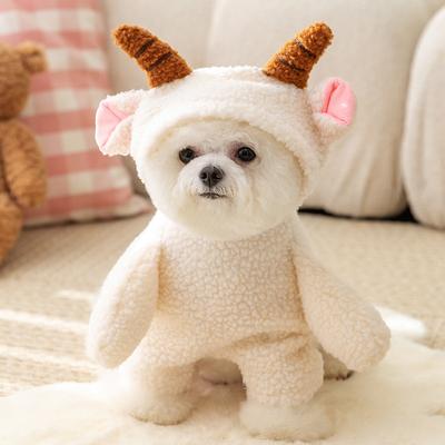 Funny Little Animal Transformation Outfit Teddy Bigbear Small Dog Autumn and Winter Warm Cat Two Feet Pet Dog Dog Clothes