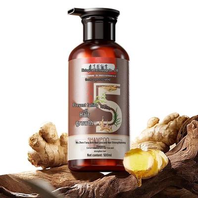 Nanjing Tongrentang Anti-Hair Loss & Hair Growth Shampoo