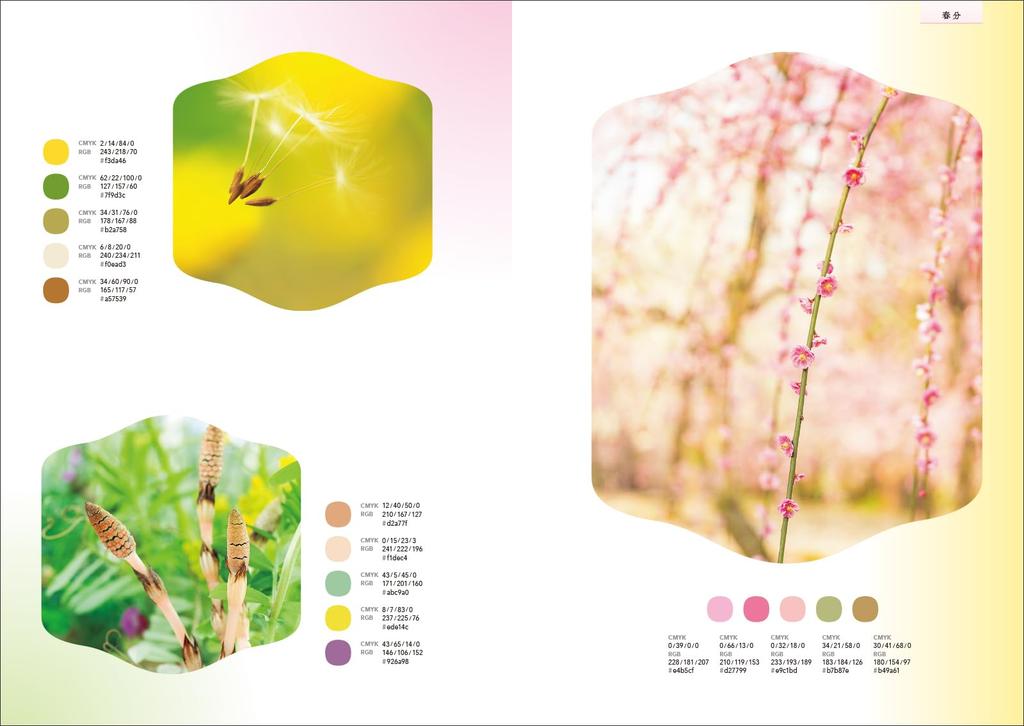 Japanese Color Beautiful Color Schemes Created from Japanese Seasons and Traditional Colors Schemes