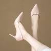 High Heels Women's Stiletto Early Spring New Black Professional Pointed Design Sense Niche Temperament Celebrity Nude Shoes