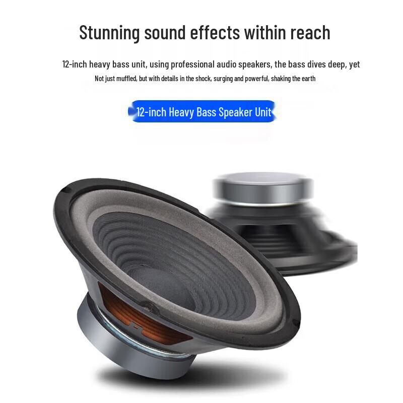 SAST VD-202 12-inch Conference Room Audio System