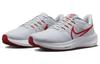 Nike Air Zoom Pegasus 39 'Platinum Tint Light Crimson' DH4071-009