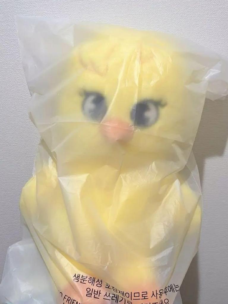 [USED] Stray Kids Teddy Bear Plush Toy SKZOO Pogari