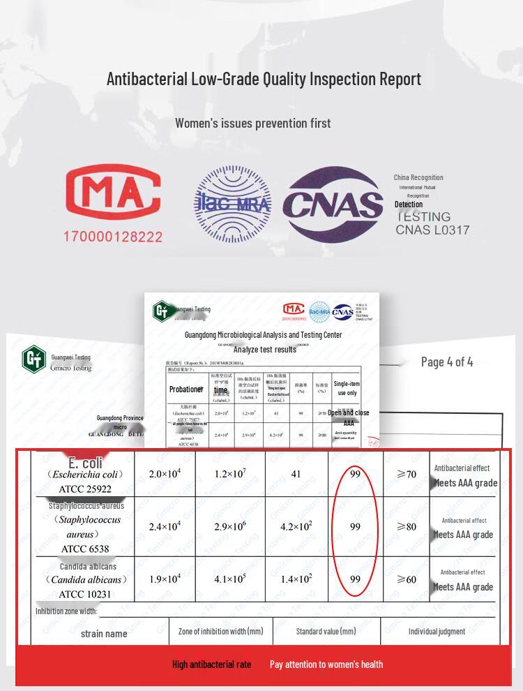 MIIOW Women's Ice Silk Seamless Antibacterial Briefs - Assorted 4-Pack