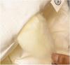 Grace Undyed Soybean Duvet