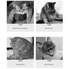 1 Set Cat Teaser Toy Vivid Exquisite Relieve Boredom Bee Shape Pet Cat Plush Squeaky Toy Pet Supplies