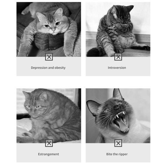 1 Set Cat Teaser Toy Vivid Exquisite Relieve Boredom Bee Shape Pet Cat Plush Squeaky Toy Pet Supplies