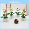 Faux Jasmine Flower Garden Ornament For Wedding Venue Home Indoor Decor